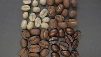 roasted coffee difference